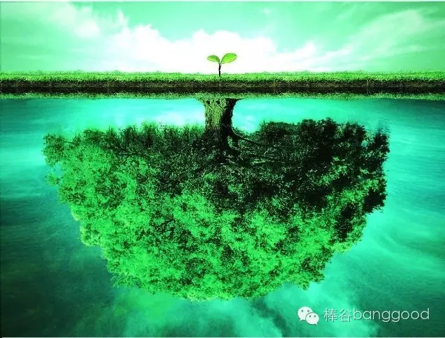 1470189717102865.jpg 640.webp.jpg