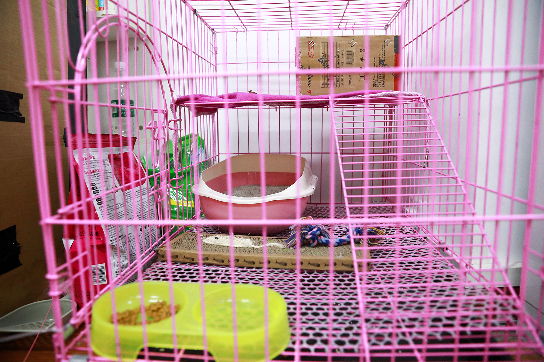 1504332018689684.jpg 養心殿.jpg