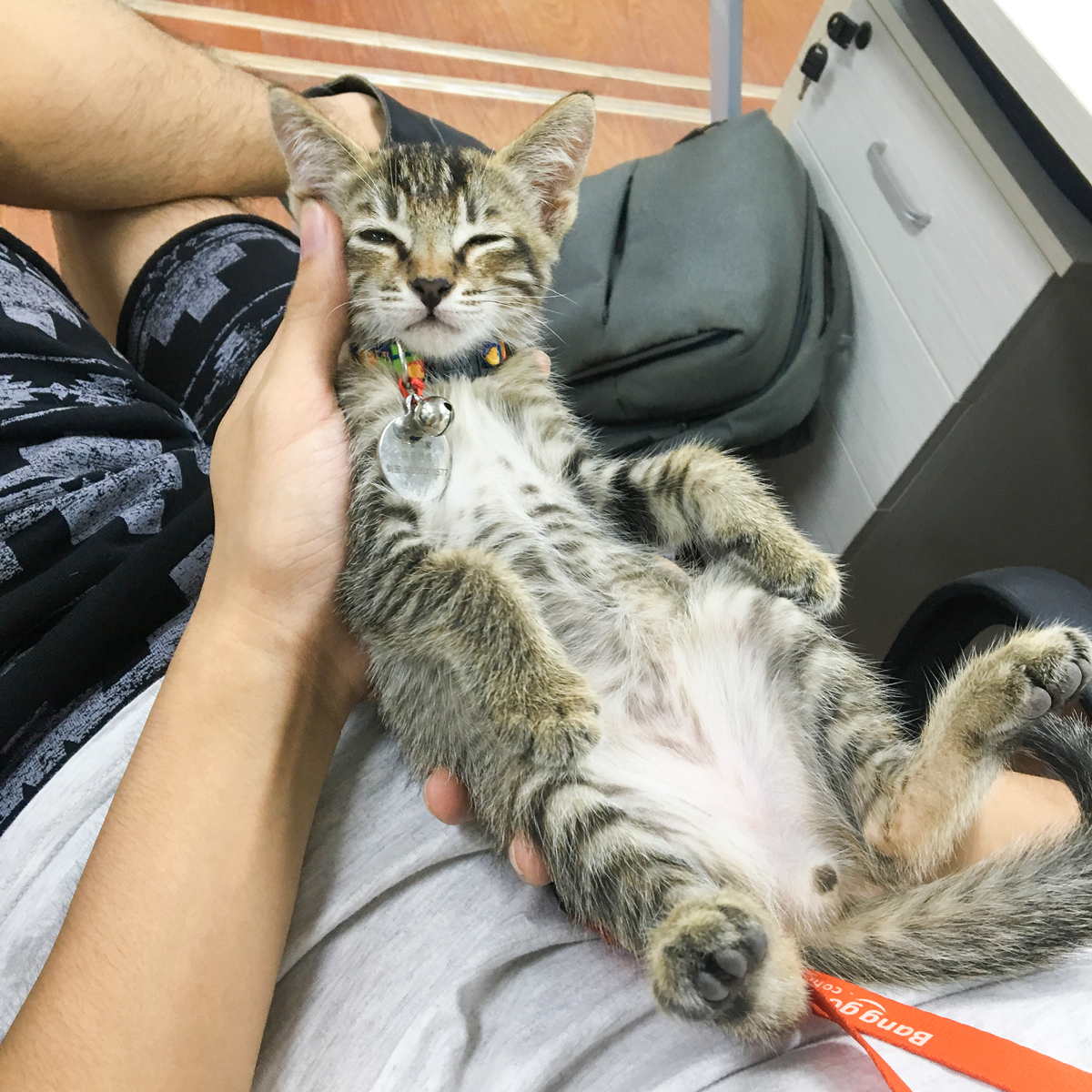 1504332169212922.jpg QQ圖片20170822113038.jpg