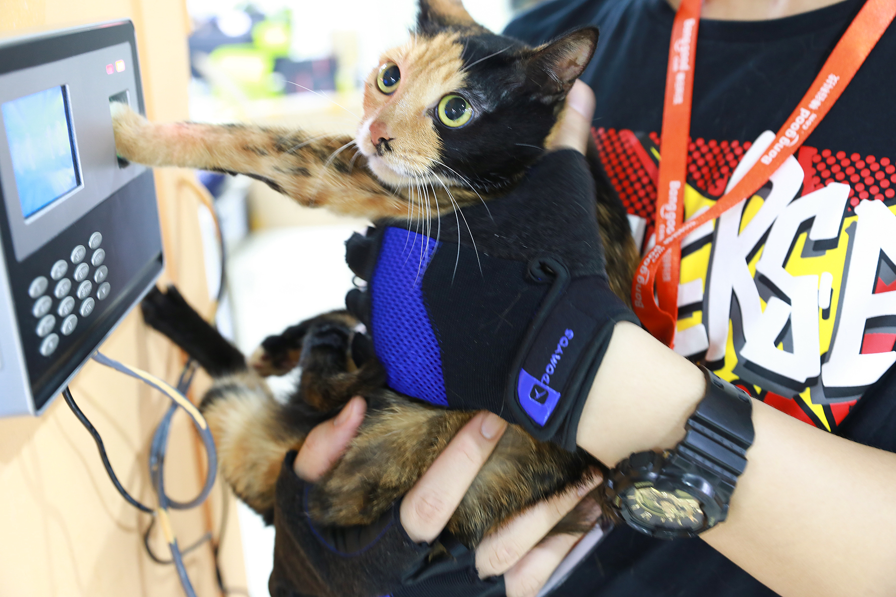 1504332276858660.jpg 扶本喵打卡.jpg