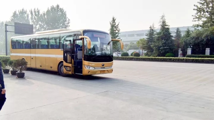 1509938632732046.jpg 640.webp.jpg